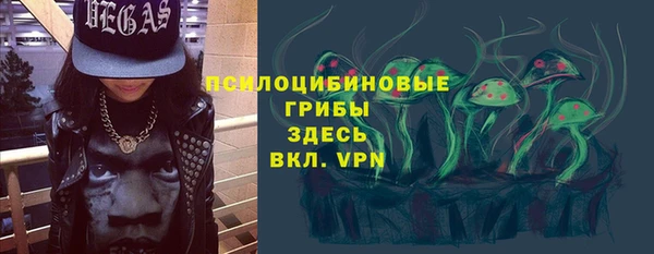 ПСИЛОЦИБИНОВЫЕ ГРИБЫ Горняк